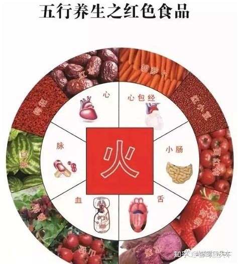 五行屬金的食物|日常食物的五行（金木水火土）屬性，吃對食物也可以。